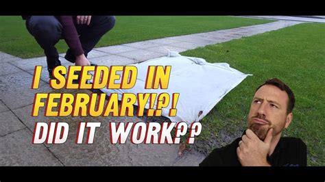 Update Seed Your Lawn In Winter An Idiot S Guide How Not To Lawn Care Youtube