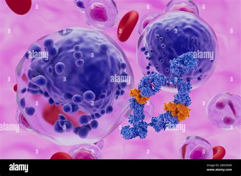 Monoclonal Antibody Treatment In Acute Myeloid Leukaemia Aml