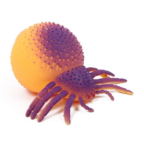 Tarantula Spider Squish Toy Super Random Stuff