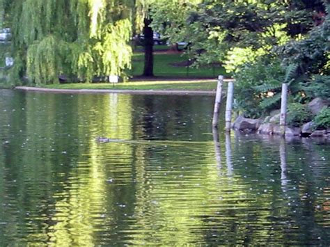 Tree Reflections In River Photograph By Michael Riley Fine Art America