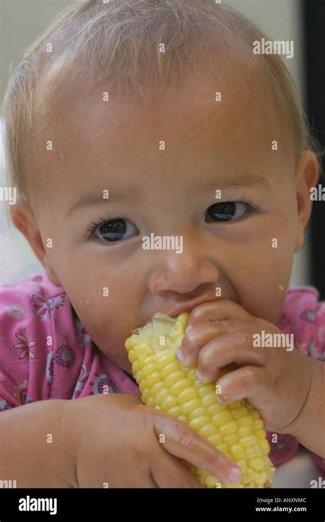 Baby Eating Corn Stock Photo Alamy