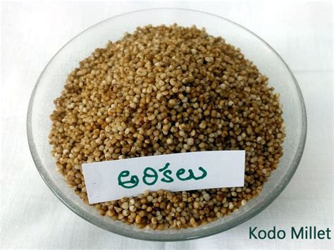 Kodo Millet Arikelu Pack Size 1 Kg At Rs 136 1 Kg In Hyderabad ID