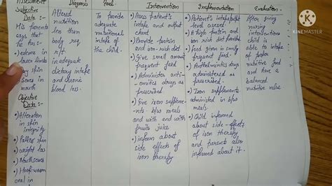 Nursing Care Plan On Iron Deficiency Anemia Youtube