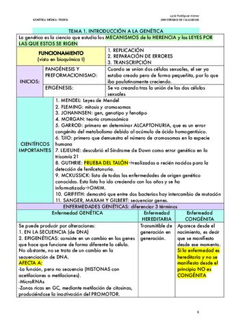 Apuntes Genetica T T Resumidos Tablas Pdf