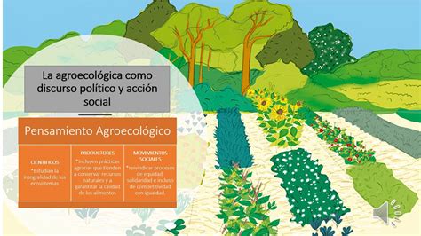 Agroecología desafíos de una ciencia ambiental en construcción