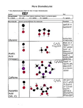 Macromolecules 2 Biomolecules To Make And Draw By Biology Buff