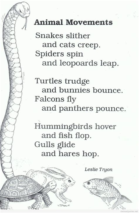 Animal Poems