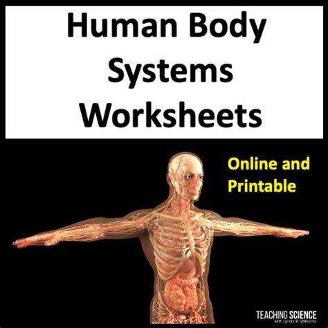 Free Human Body Systems Labeling With Answer Sheets Worksheets Library