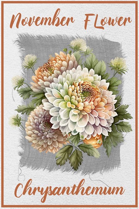 November Flower Poster Greeting Free Stock Photo - Public Domain Pictures