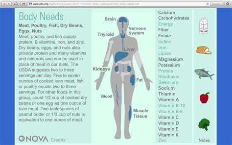 Nutrition Required For Human Body Nutrition Pics