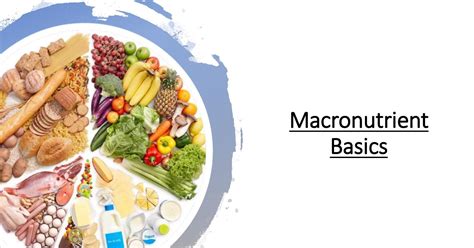 Macronutrient Basics Pptx Docdroid