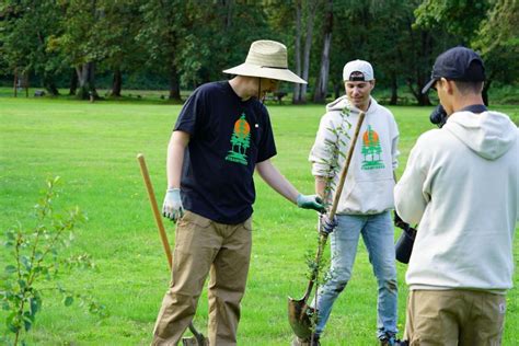 #TeamTrees Challenge | Nature and Wildlife | Discovery