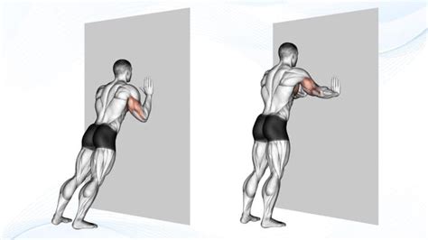 How To Do Wall Push-Ups – Muscles Worked, Benefits, and Alternatives ...