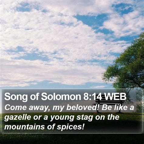 Song Of Solomon 8 Scripture Images Song Of Solomon Chapter 8 WEB