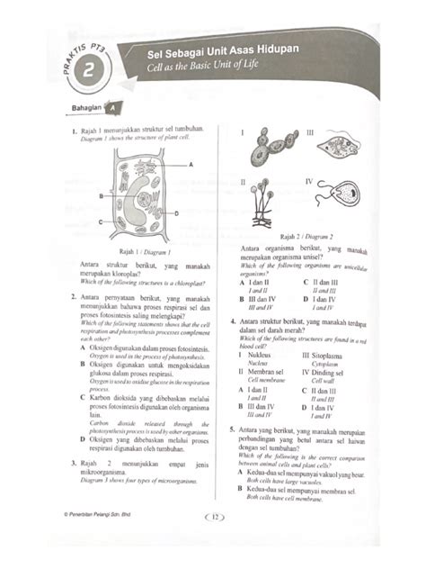 CHP 2 Exercise 2 | PDF