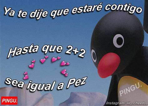 Pin De A I En Pingu Frases Frases Brillantes Frases Perronas