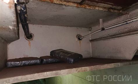В порту Санкт-Петербурга таможенники нашли 8 кг кокаина на судне из Латвии