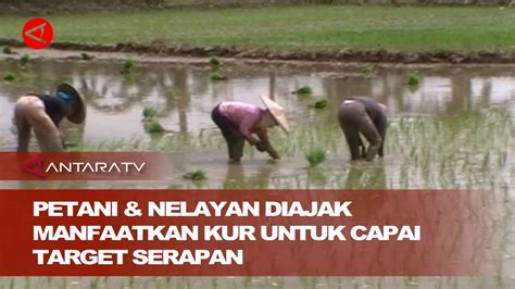 Petani Nelayan Diajak Manfaatkan KUR Untuk Capai Target Serapan YouTube