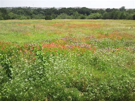 DFW Parks & Playgrounds: Arbor Hills Nature Preserve