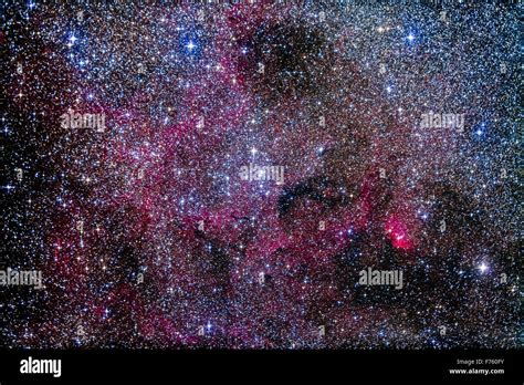 The Large Loose And Bright Open Cluster Ngc 6871 Centre In Central