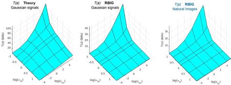 Shows The Part Of T X Y Z That Depends On The Nonlinear Download Scientific Diagram