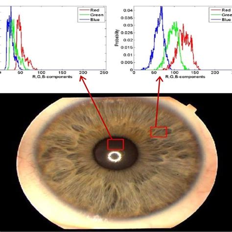 Proposed Iris Recognition System Download Scientific Diagram