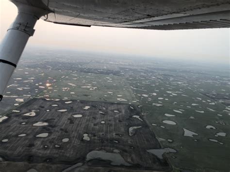 Aerial View Of Wetlands In South Dakota