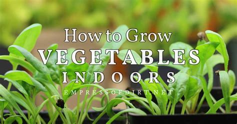 How to Grow Vegetables Indoors (Easy Beginner’s Guide)