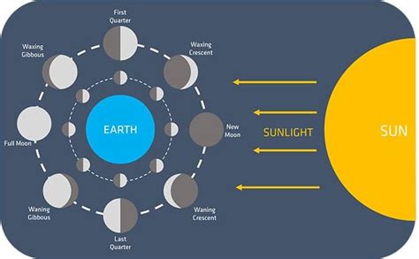 Sun Moon Earth Diagram For Moon Phases Not Labeles Phases Cl