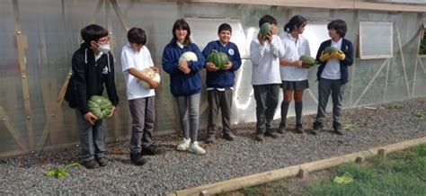 Certificación Ambiental Nacional e Internacional Lycée Claude Gay OSORNO Colegio Francés