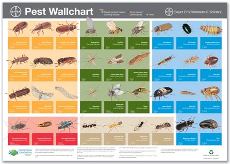 Two new free publications from Bayer Environmental Science | Pest Magazine