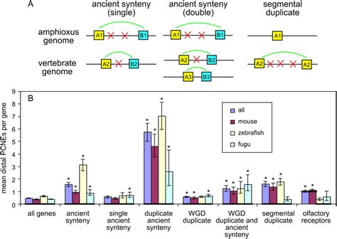 Deeply Conserved Chordate Noncoding Sequences Preserve Genome Synteny