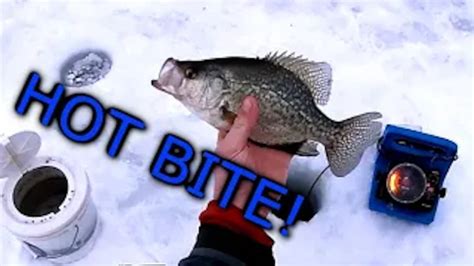 Ice Fishing for Crappie during PRIMETIME! - Illinois Ice Fishing