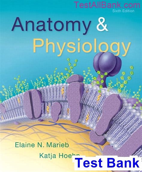 Anatomy And Physiology 6th Edition Marieb Test Bank Test Bank