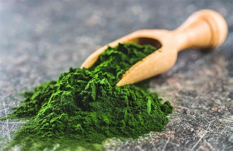 Chlorella Qu Es Beneficios Usos Y Propiedades