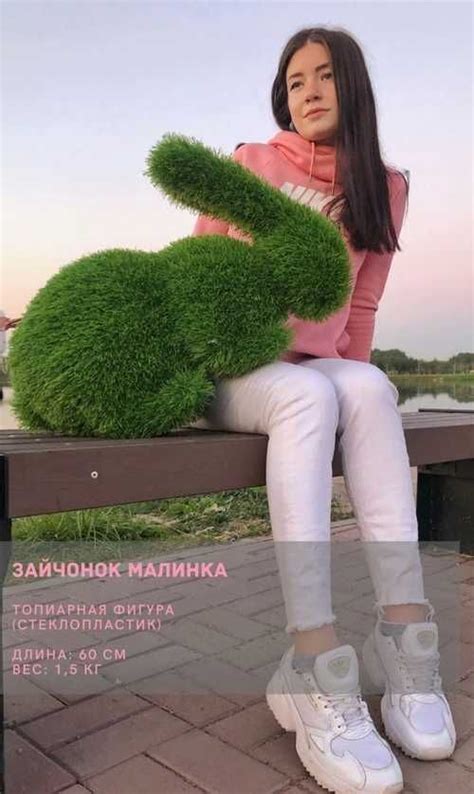 Садовая топиарная фигура из газона зайчик | Festima.Ru – частные объявления
