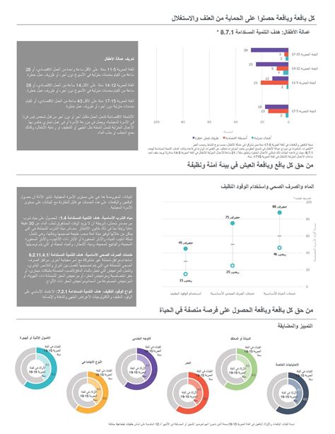 توزيع عمر وجنس أفراد الأسر المعيشية Ppt تنزيل