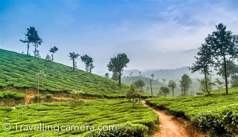 Exploring The Tea Estates Of Wayanad On A Bicycle Kerala Diaries