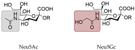 Structure Of N Acetylneuraminic Acid Neu5ac And N Glycolylneuraminic