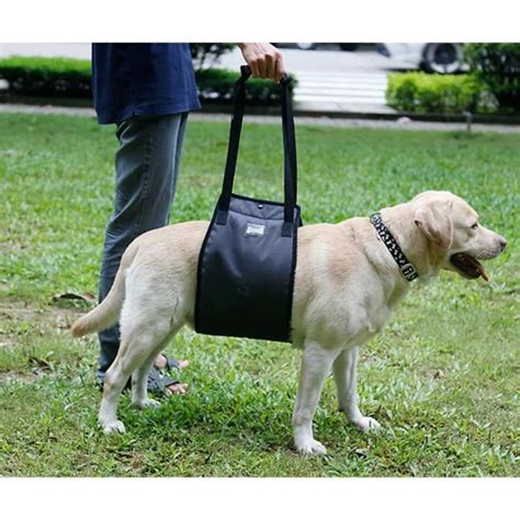 Support De Levage De Chien Harnais Soutien De R Adaptation Sling D