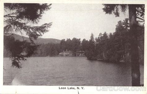 Loon Lake New York