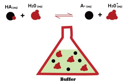 Buffer Definition - JavaTpoint