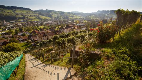 Stgallen Bodensee Lake Constance Tourism