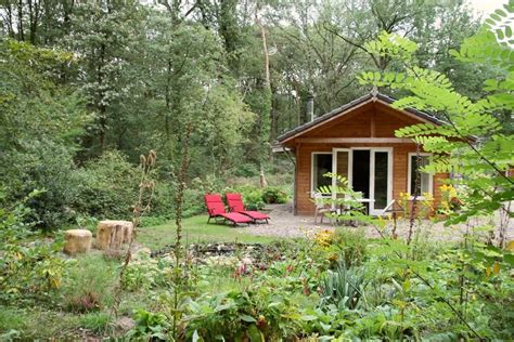 Huisjes In Het Bos 20 X Mooie Boshuisjes In Nederland