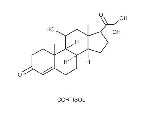 Icono De La Hormona Cortisol Hidrocortisona Qu Mica Estructura