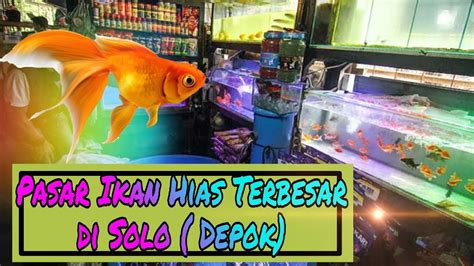 Pasar Ikan Hias Terbesar Di Solo Depok Youtube