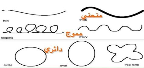 انواع الخطوط في الرسم مقال