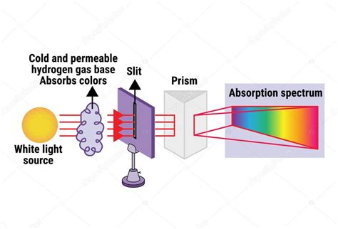 La estructura del espectro de absorción 2022