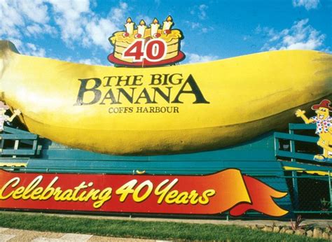 The Big Banana Everything You Need To Know