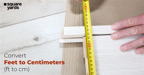Feet to Meter - 1 Ft To M Online Conversion - Ft in Meter